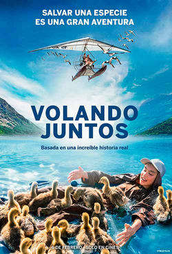 VOLANDO JUNTOS