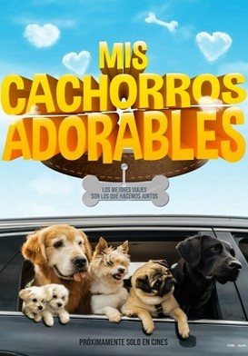 Mis cachorros adorables