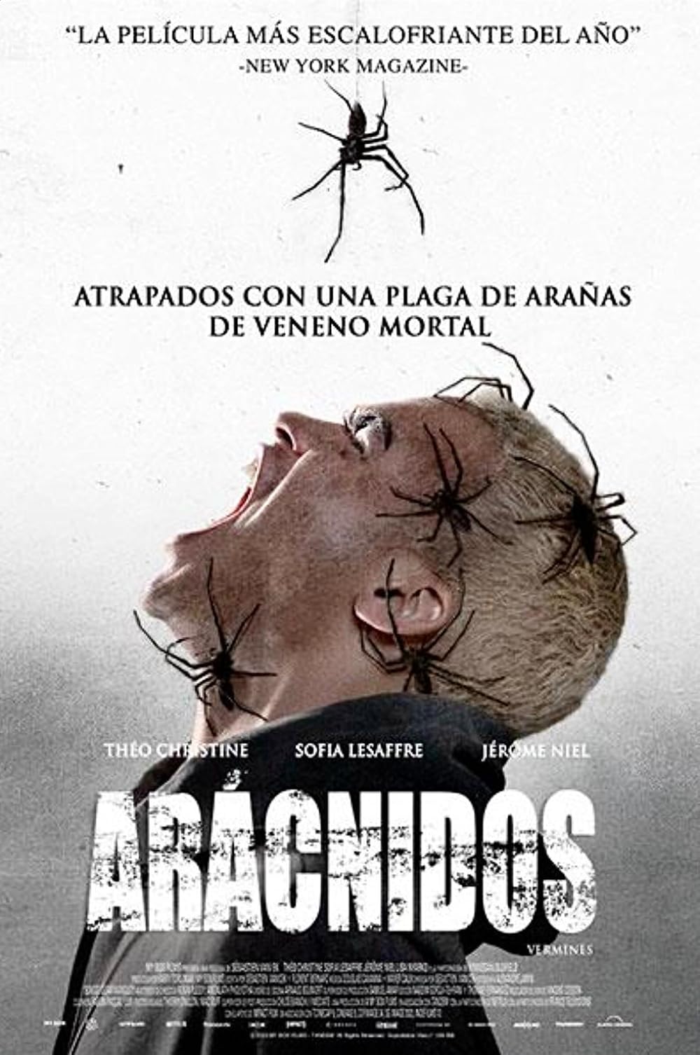 Arácnidos